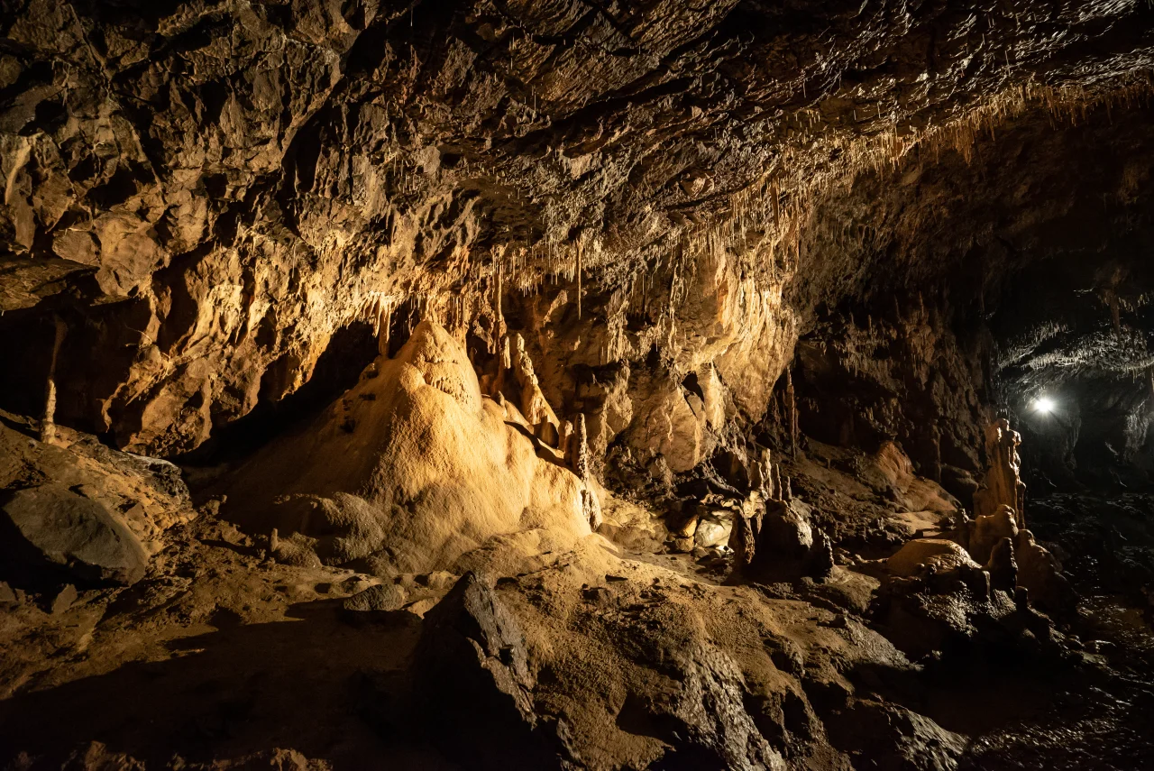 cave-heimkehle